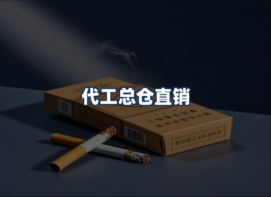 专业团队办公环境